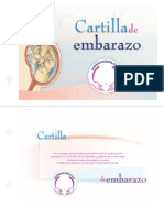 cartilladel embarazo 15 pag