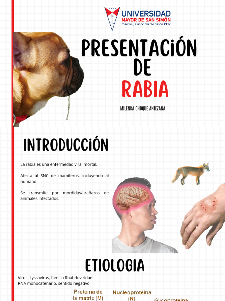 Rabia: Síntomas, Diagnóstico y Prevención | PDF