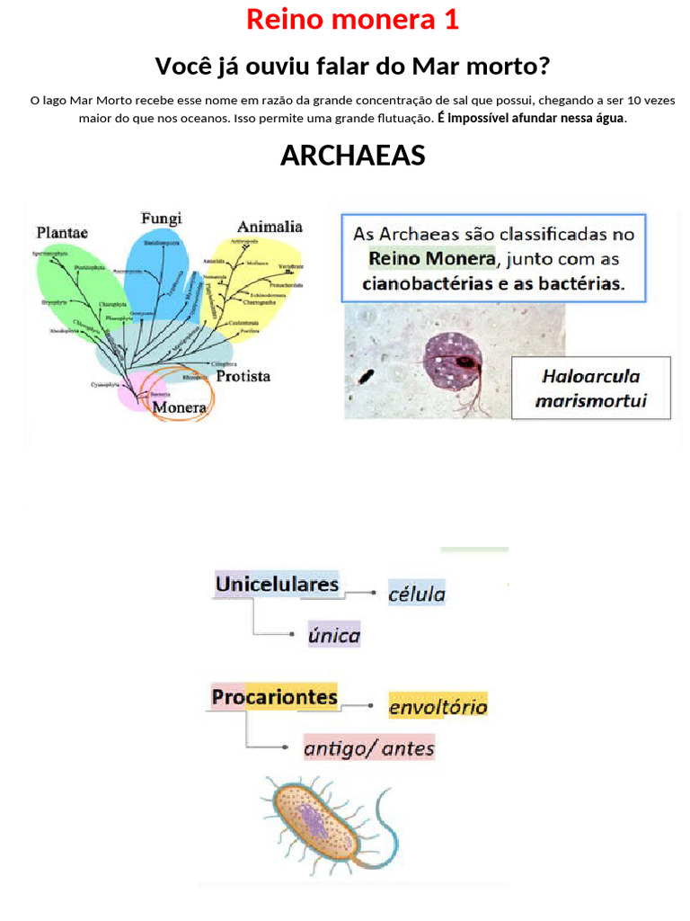 Reino Monera: Bactérias e Archaeas | PDF