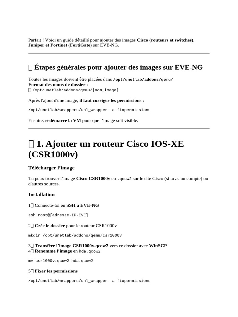 Ajouter des images sur EVE-NG | PDF | Infrastructure de ...