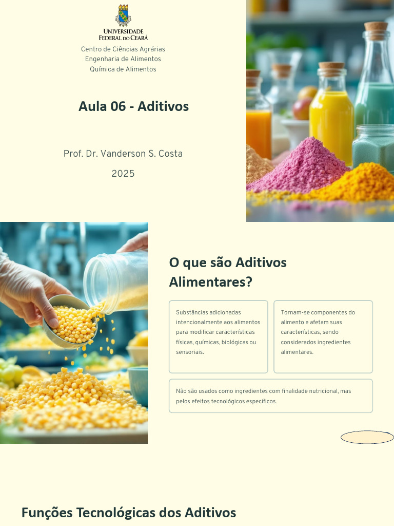 Aditivos Alimentares: Funções e Tipos | PDF | Enzima | Alimentos