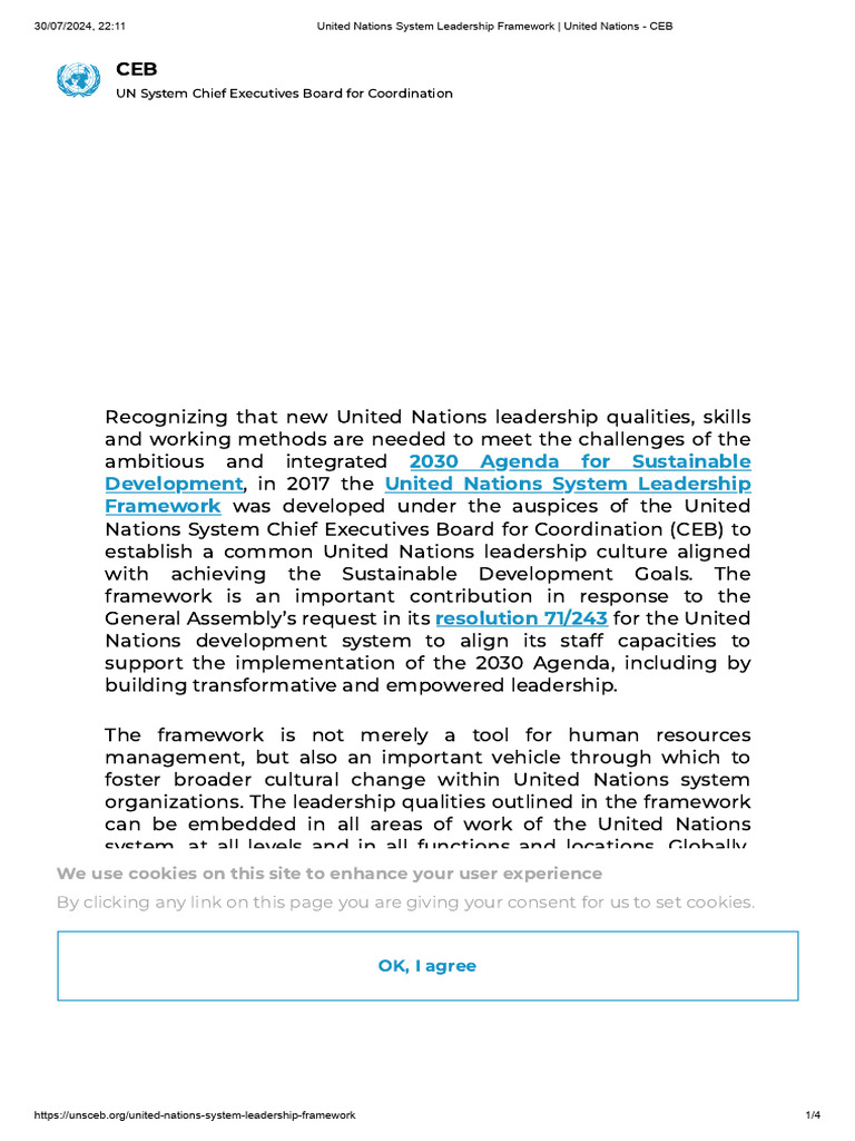 UN Leadership Framework for 2030 Agenda | PDF | United Nations ...