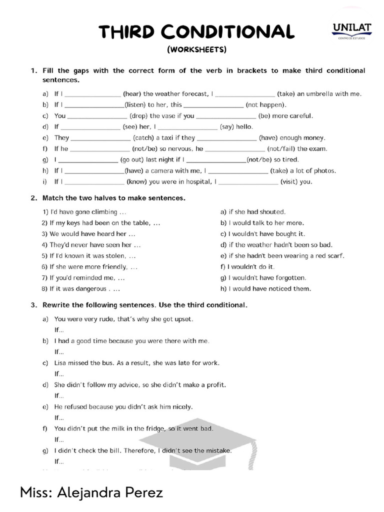 Third Conditional and Vocabulary | PDF