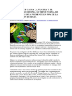 Bacteria Que Causa La Ulcera y El Cancer de Estomago Tiene Forma de Corcho y Esta Presente en 50