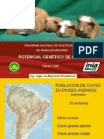 Potencial Genetico de Cuyes WWW - Peru-Cuy
