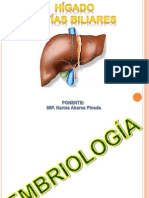 Higado y Vias Biliares