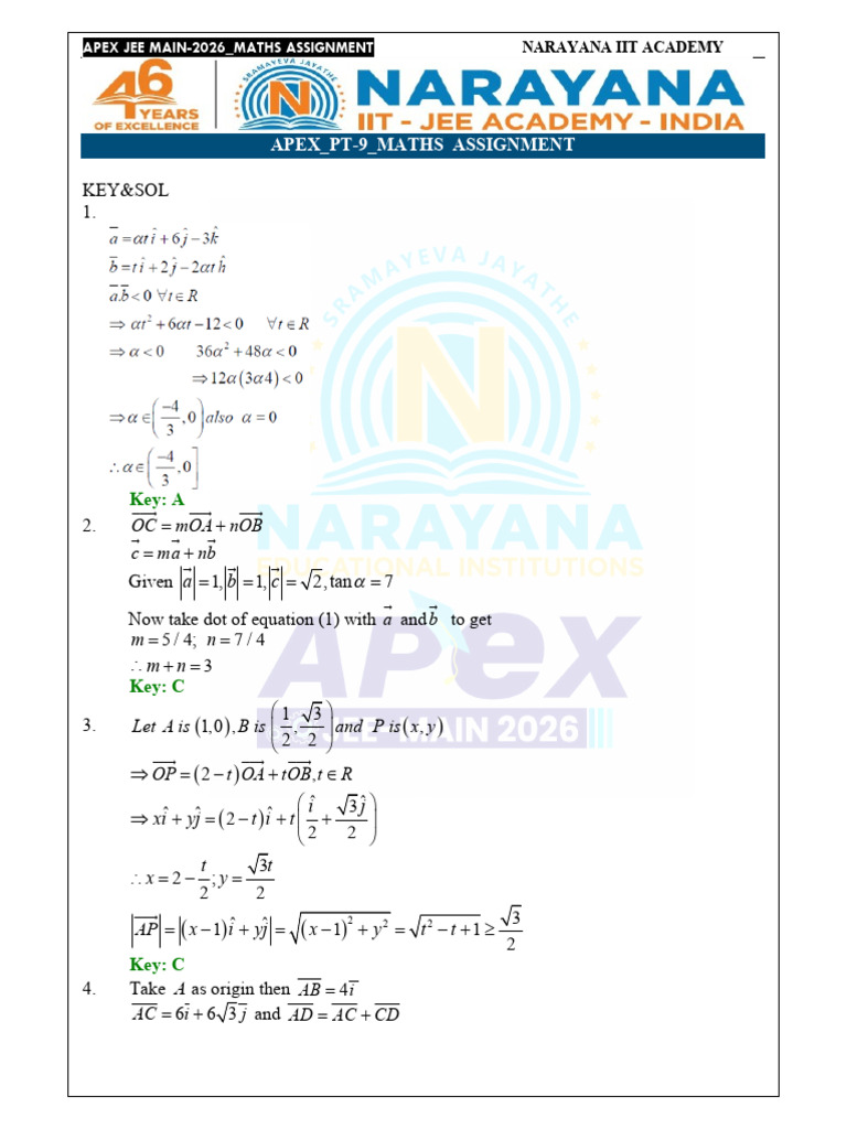 JEE Main 2026 Maths Assignment Solutions | PDF | Line (Geometry) | Chess