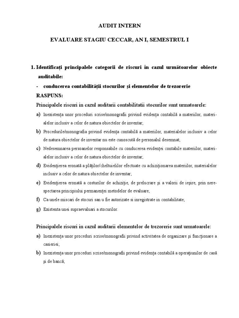 Audit Intern - Semestrul I | PDF