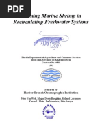 Download Farming Marine Shrimp in Recirculating Freshwater Systems by dtrinidad SN9234254 doc pdf