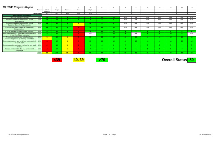 Steering Committe RYG Progress Tracking Chart | PDF