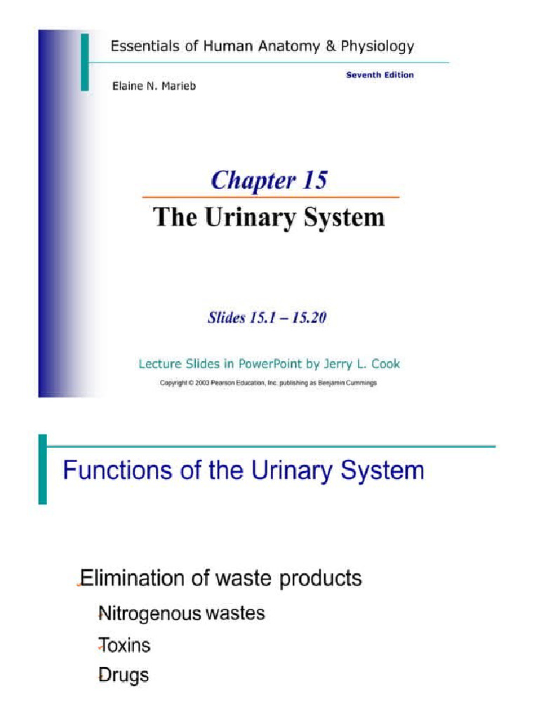 ANAPHY Chapter 15 Urinary System | PDF