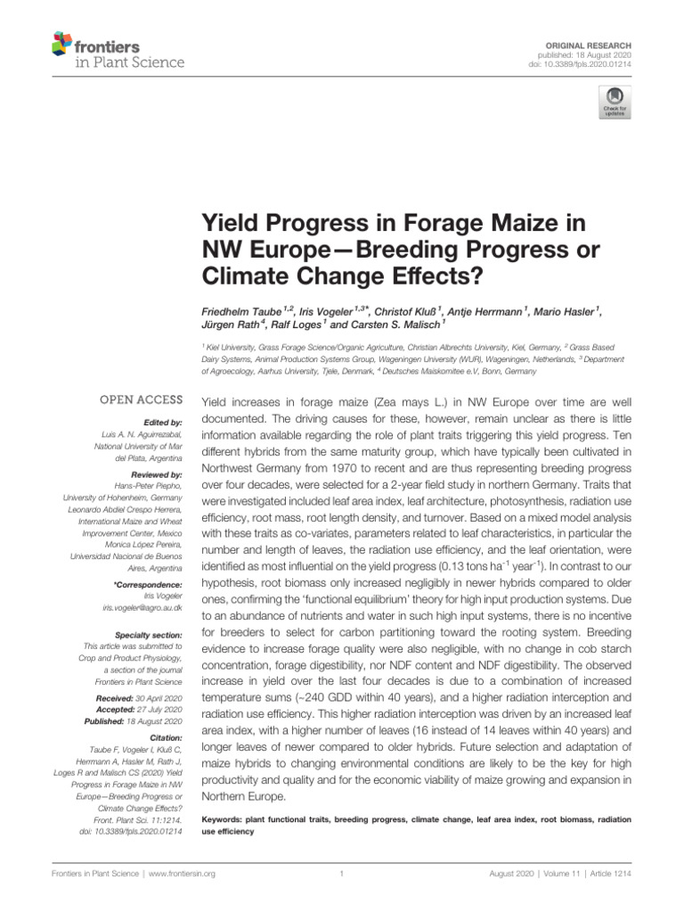Forage Maize Yield Progress in NW Europe | PDF | Maize | Root