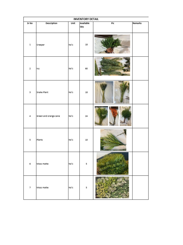 Plants Inventory List | PDF