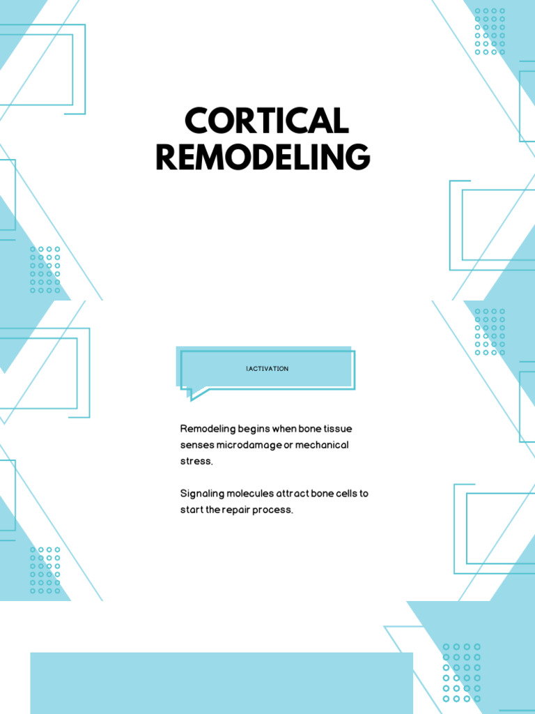 Blue and White Minimalist Project Presentation 20250907 222217 0000 | PDF