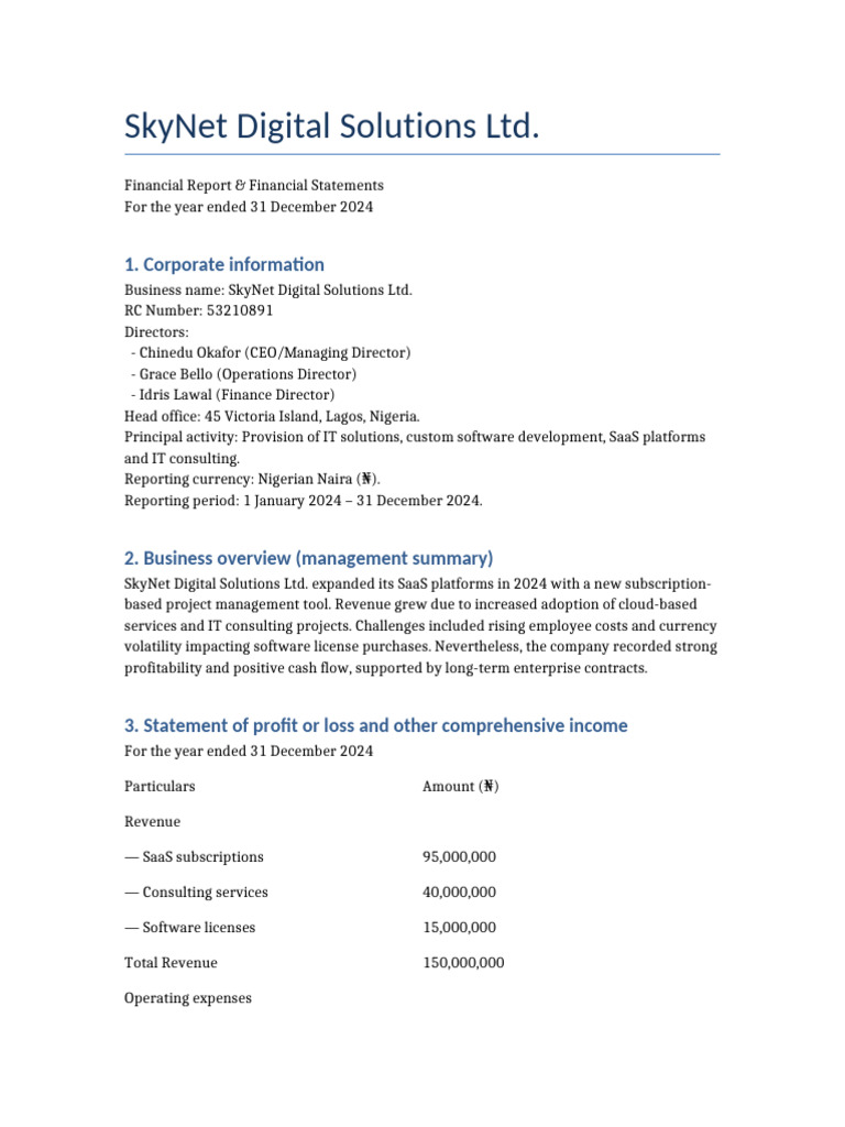 SkyNet Digital Solutions 2024 Financial Report | PDF | Balance Sheet ...