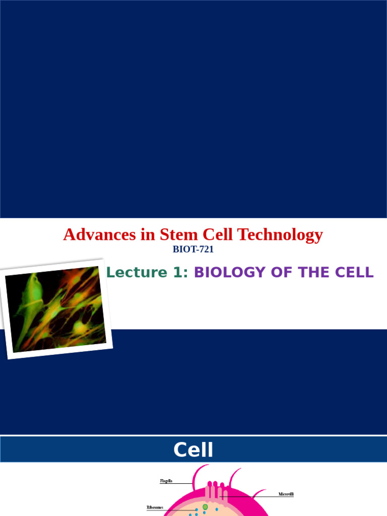 Stem Cell Technology Advances Explained | PDF | Translation (Biology ...