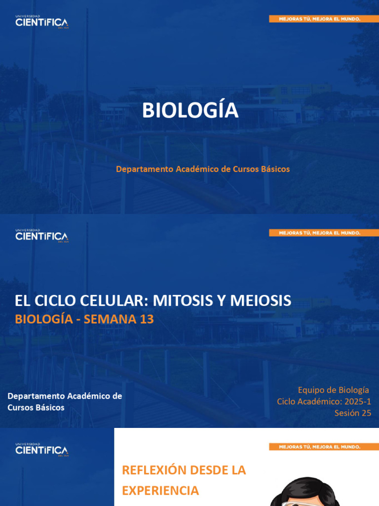 Sem 13 | PDF | Mitosis | Mitosis
