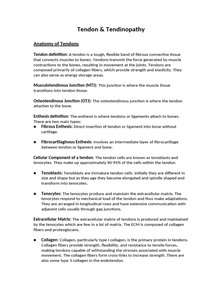 Understanding Tendons and Tendinopathy | PDF | Tendon | Extracellular ...
