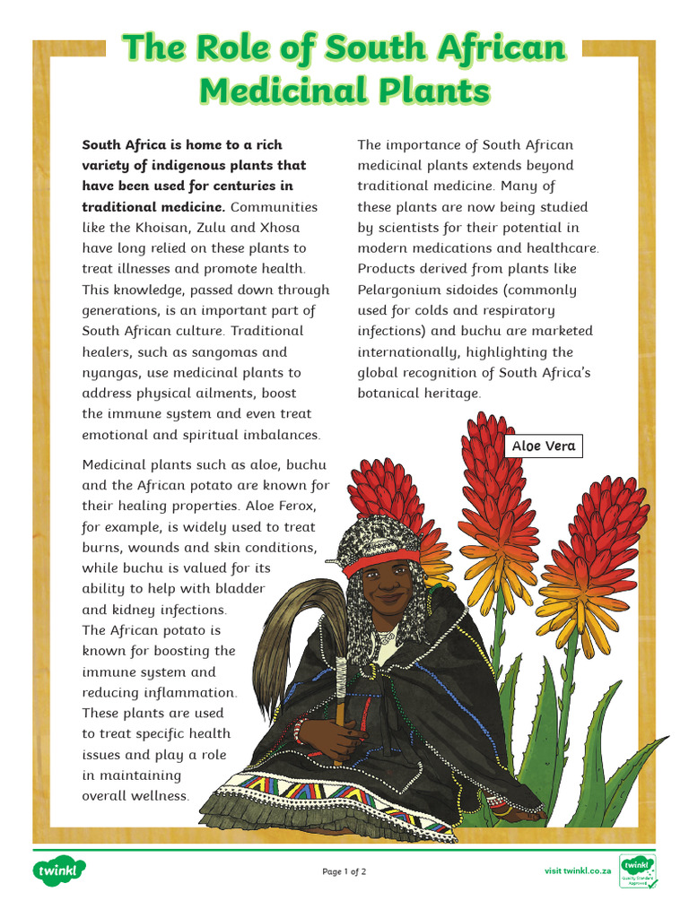South African Medicinal Plants Overview | PDF | Traditional Medicine ...