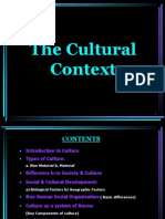 The Cultural Context