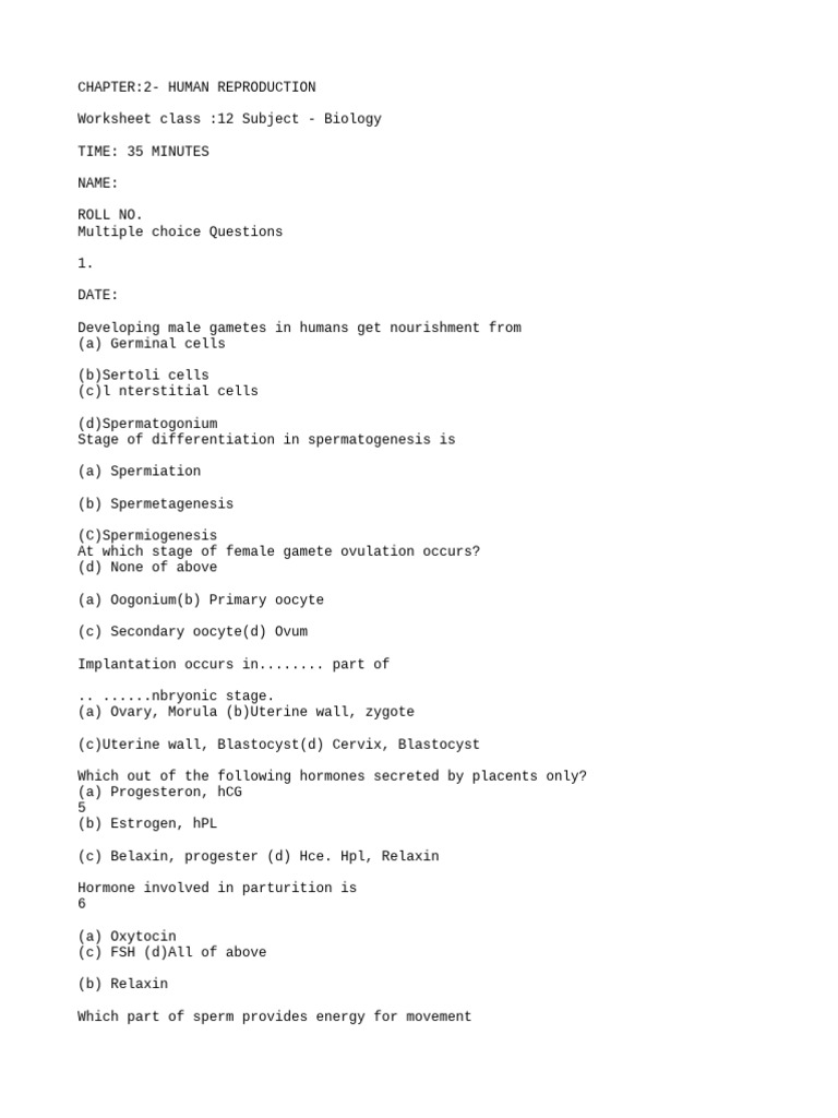 Ocr Export Temp Assignment 4 | PDF