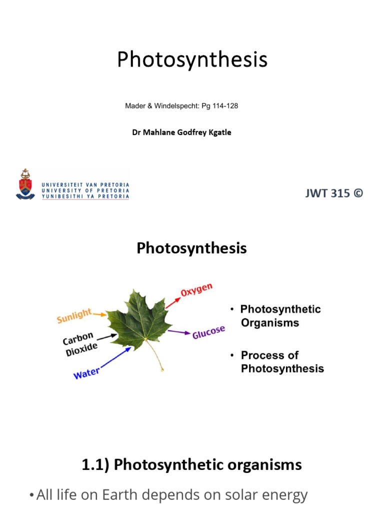 Understanding Photosynthesis Process | PDF | Photosynthesis | Chloroplast