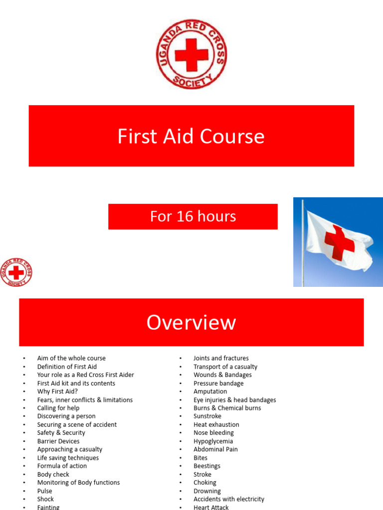 First Aid Notes For Red Cross-1 | PDF | First Aid | Cardiopulmonary ...