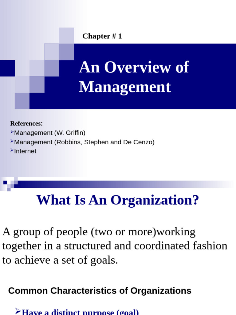 Understanding Organizational Management | PDF | Goal | Skill