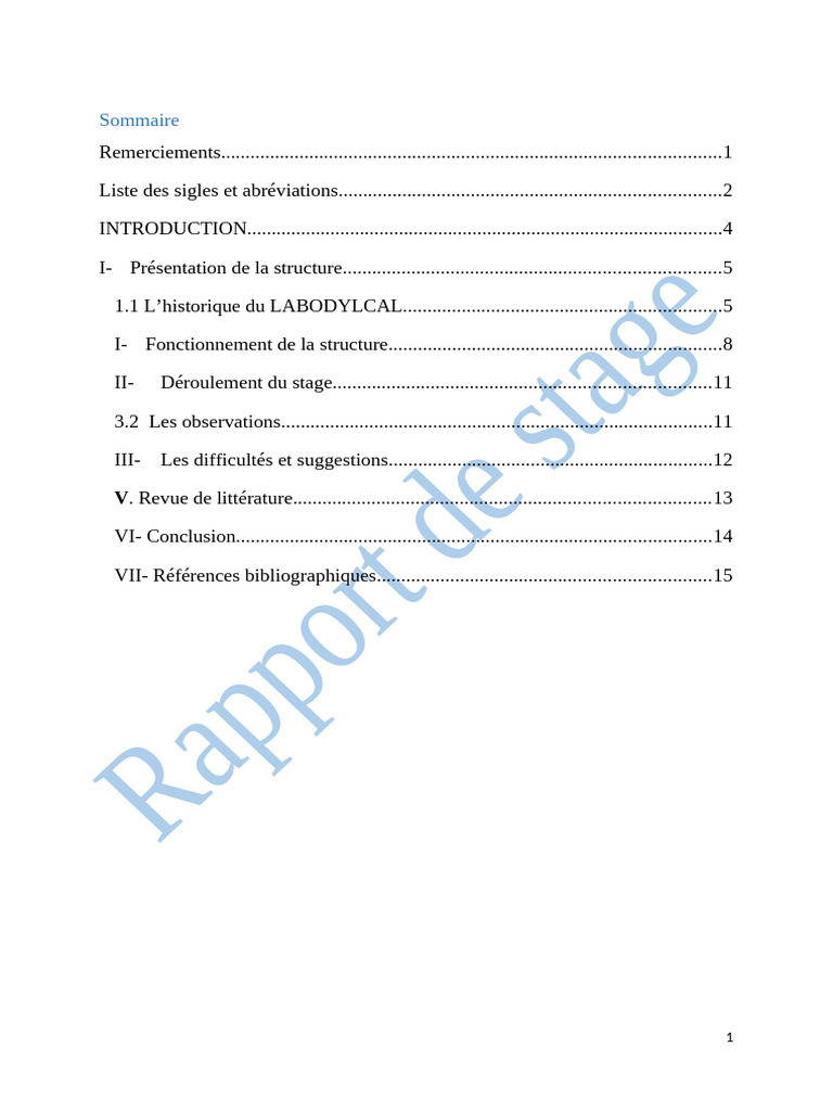 Rapport de stage au LABODYLCAL | PDF | Linguistique | Traductions