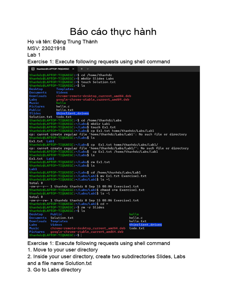 Shell Command Exercises Report | PDF | Directory (Computing ...