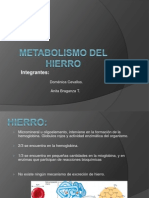 Metabolismo+Del+Hierro