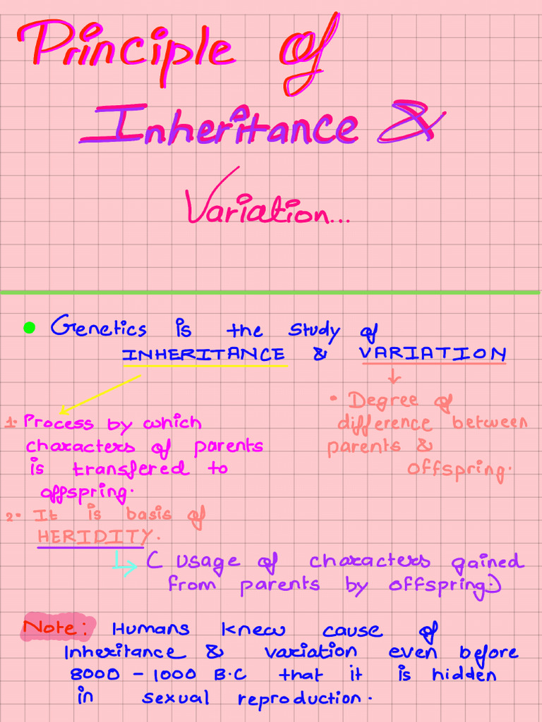 Inheritance | PDF