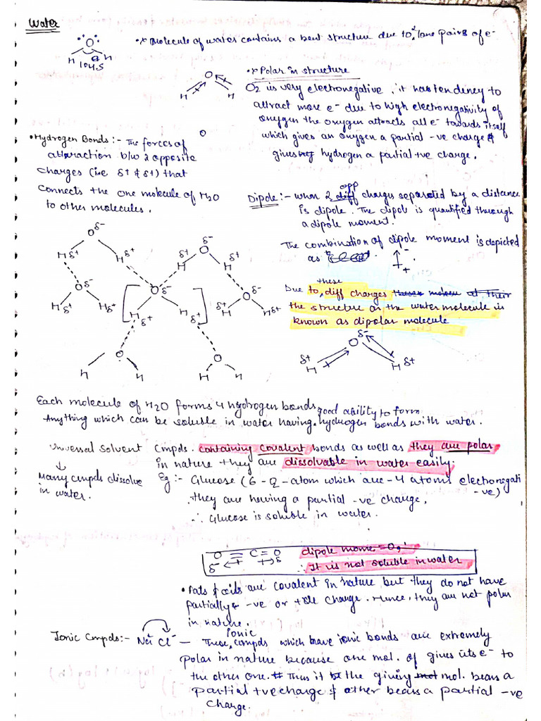 Biochemistry Notes | PDF