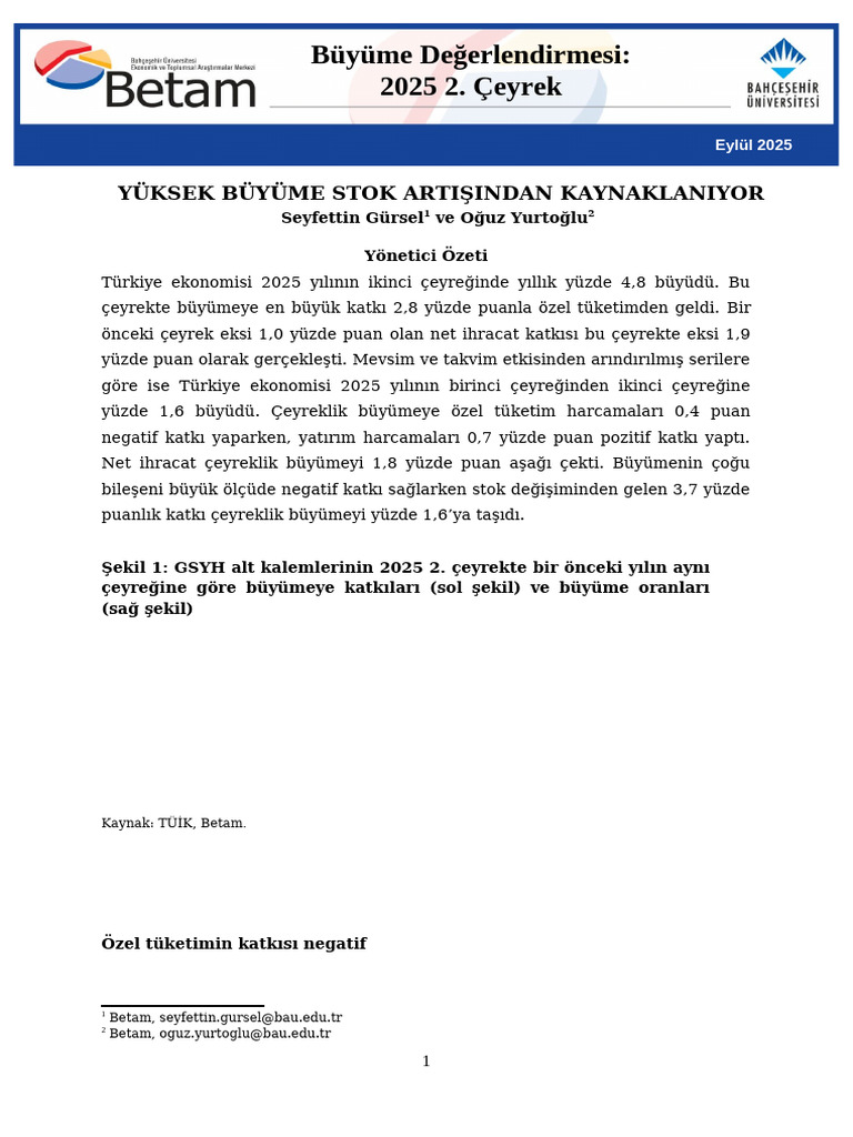 Buyume 2025 Q2 | PDF