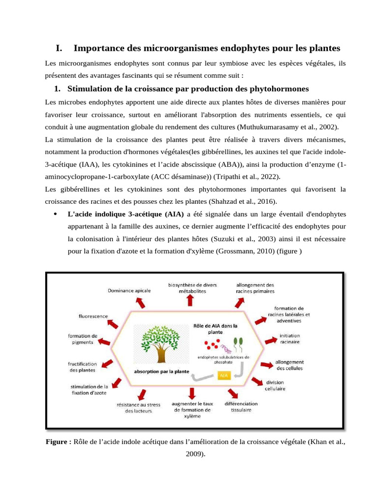 Rôle des endophytes dans la croissance des plantes | PDF | Phytohormone ...