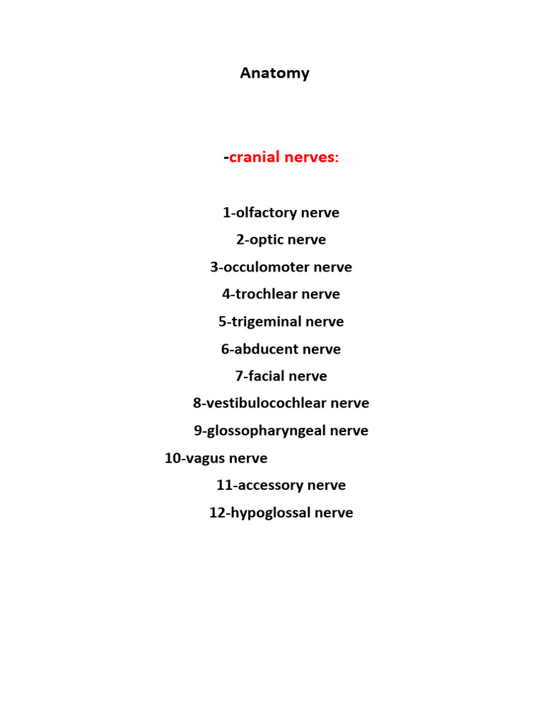 Cranial Nerves and Their Functions | PDF | Dental Anatomy | Primate Anatomy