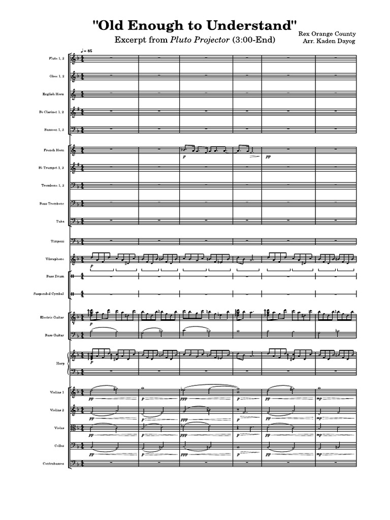 Rex Orange County Arr Kaden Dayog Old Enough To Understand Pdf