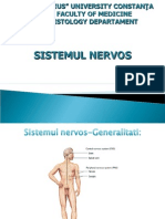 Sistem nervos