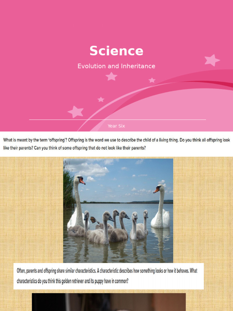 Inheritance and Variation in Offspring | PDF | Parent | Heredity