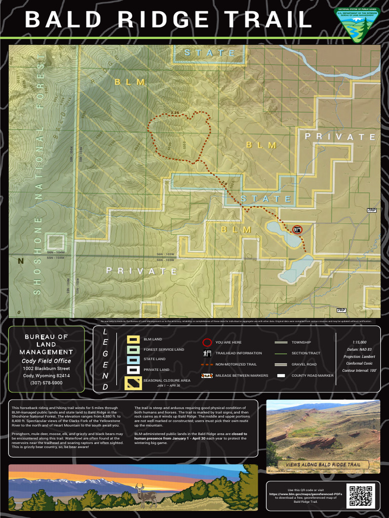 Bald Ridge Trail Hiking Guide | PDF | Grizzly Bear | Mammals Of North ...