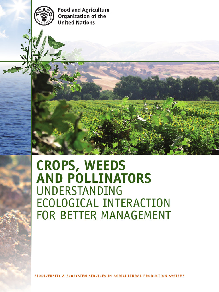 Crops, Weeds and Pollinators | PDF | Pollination | Honey Bee