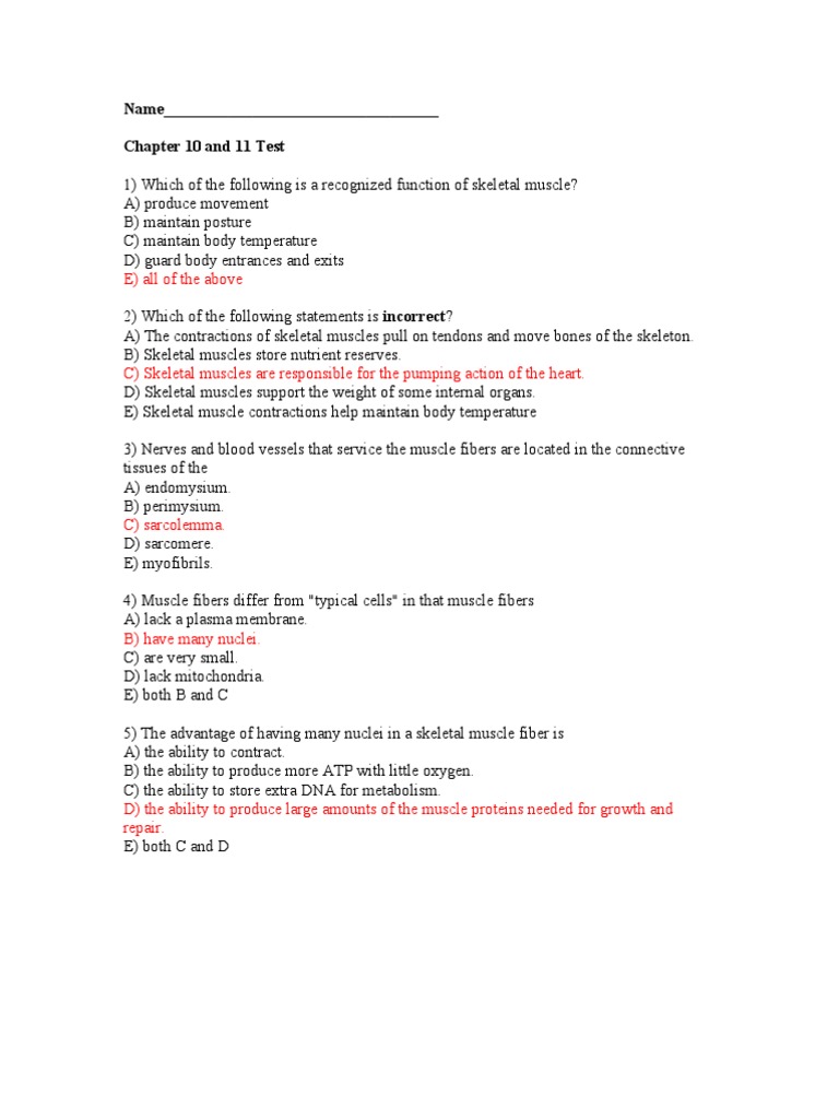 Answers Chapter 10 and 11 Exam | Skeletal Muscle | Muscle Contraction