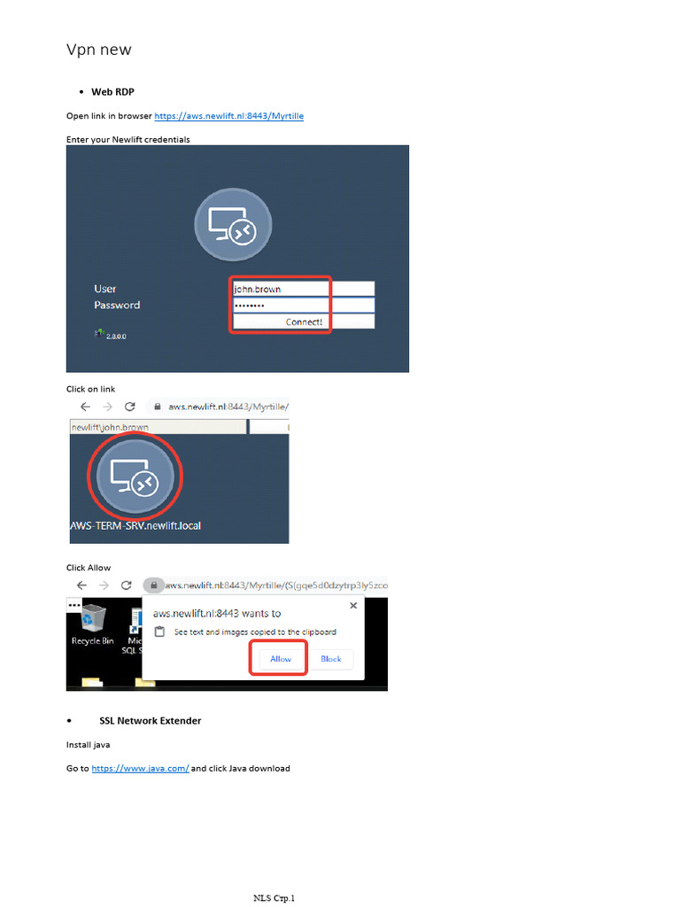 Web RDP Setup Guide for Newlift Users | PDF