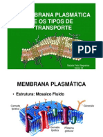 Membrana Plasmática - 19-04 (Modo de Compatibilidade)