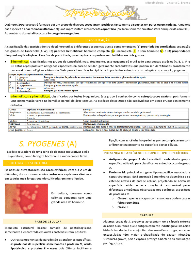 Microbiologia do Streptococcus Pyogenes | PDF | Estreptococos | Meningite