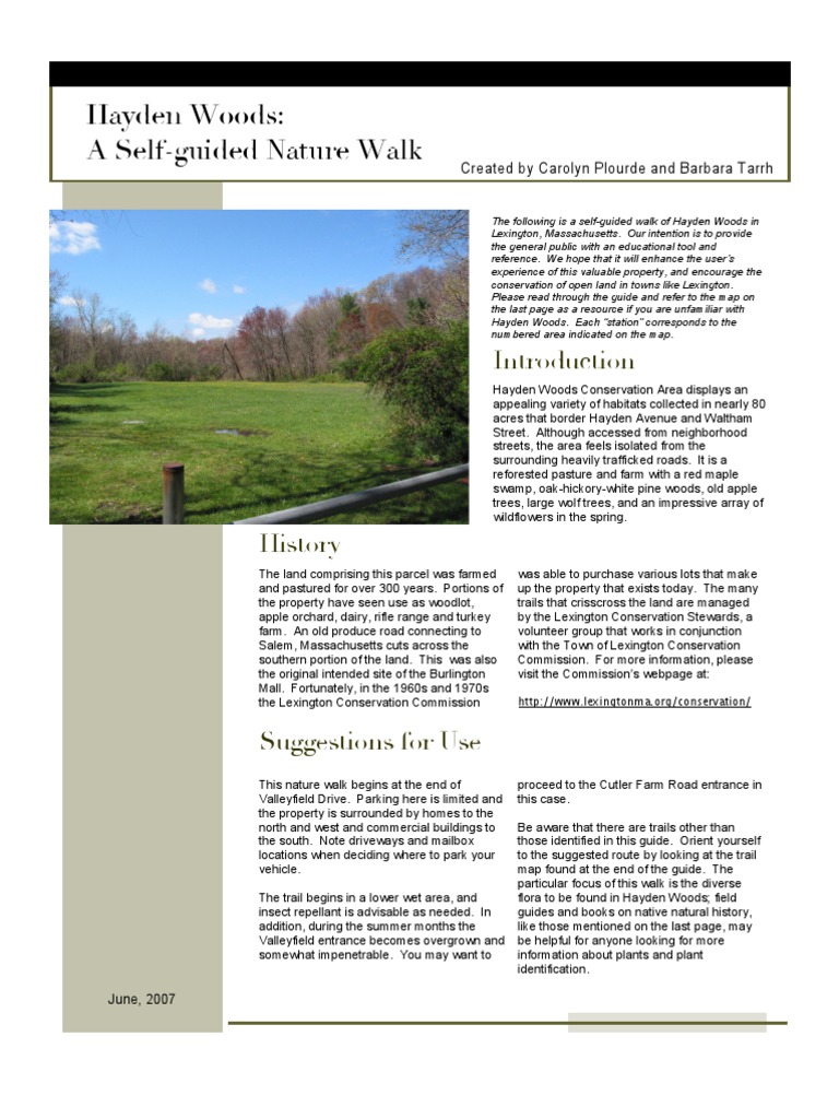 Hayden Woods Nature Walk | PDF | Flowers | Invasive Species