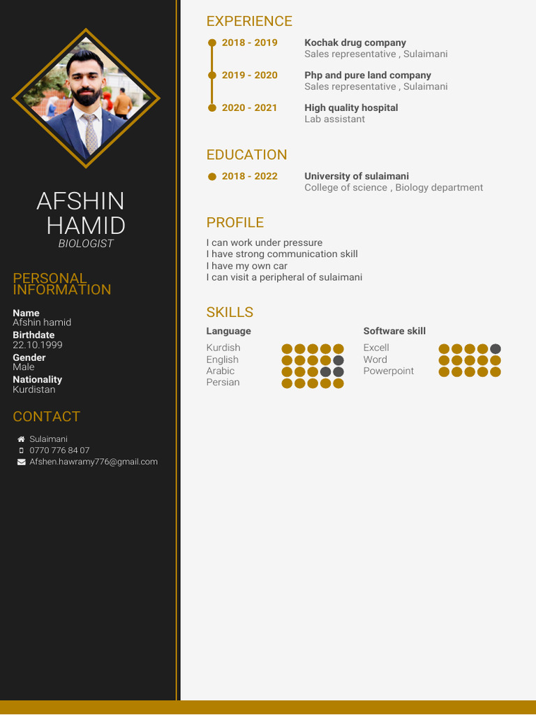 My CV | PDF