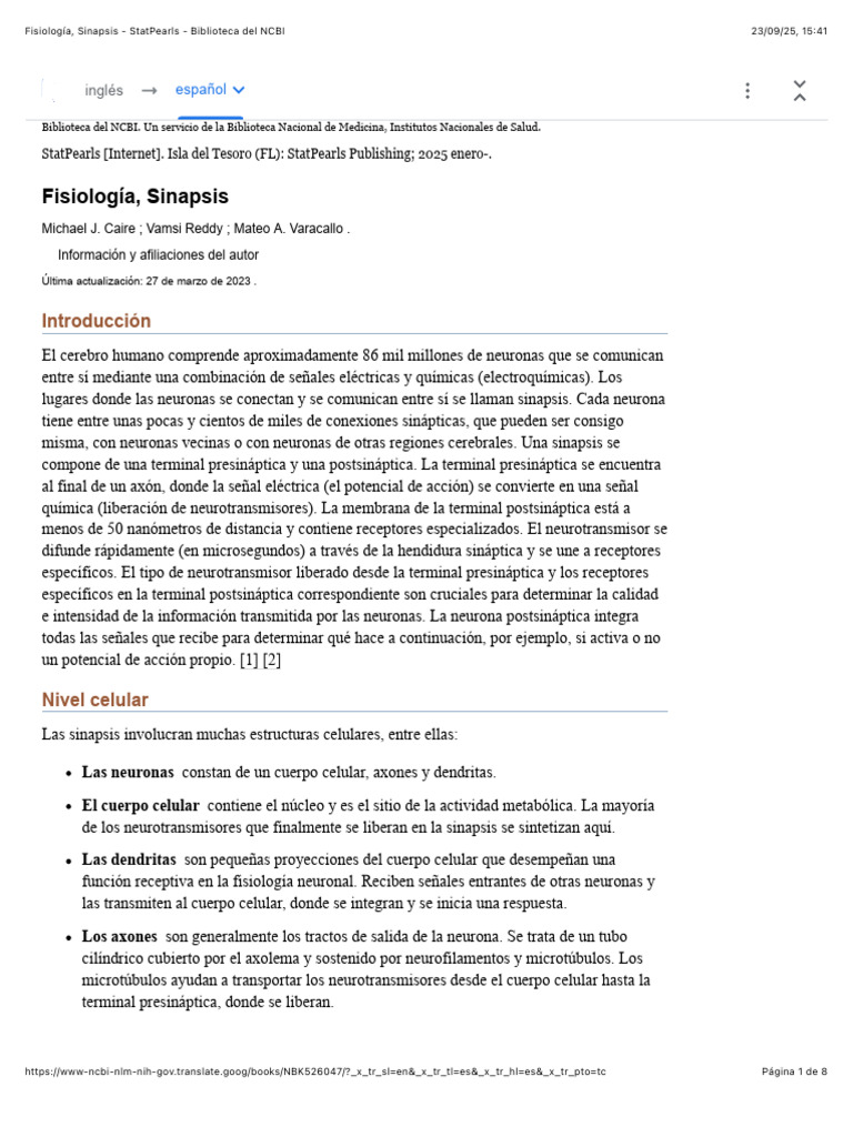 Fisiología de la Sinapsis Neuronal | PDF | Sinapsis | Neurona