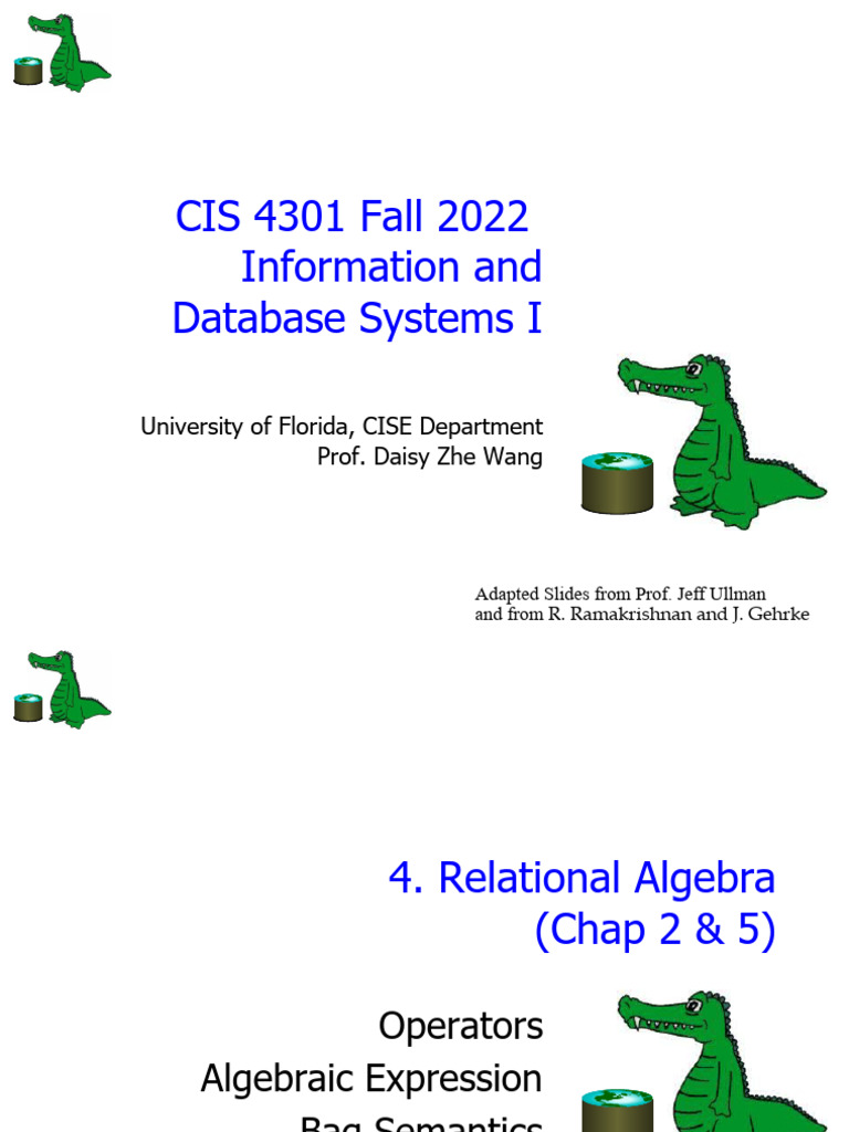 Relational Algebra in Database Systems | PDF | Relational Model ...