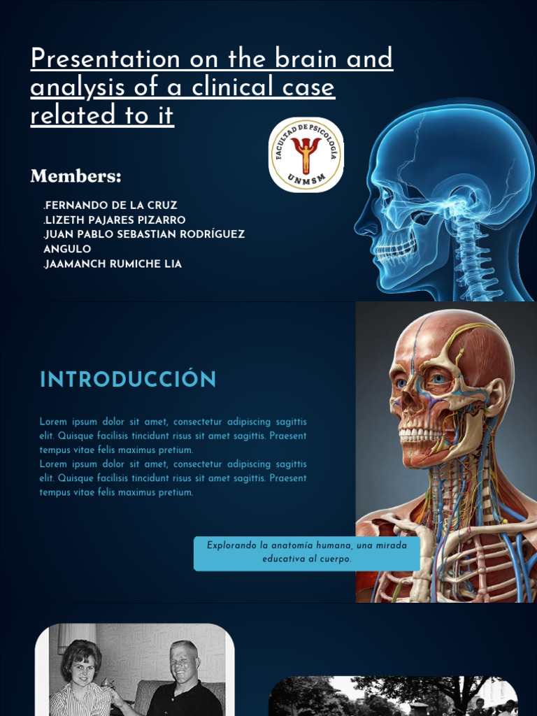 Brain Anatomy and Clinical Case Study | PDF | Cerebrum | Neuroanatomy